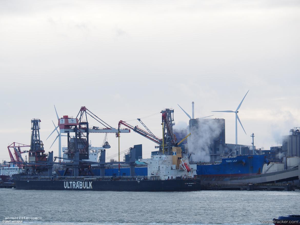 Tiger-Lily - Bulk Carrier vessel registered in Panama