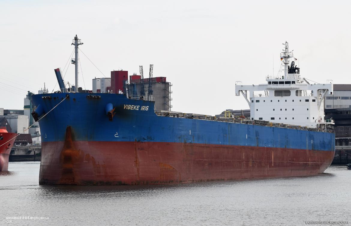 Vibeke-Iris - Bulk Carrier vessel registered in Panama