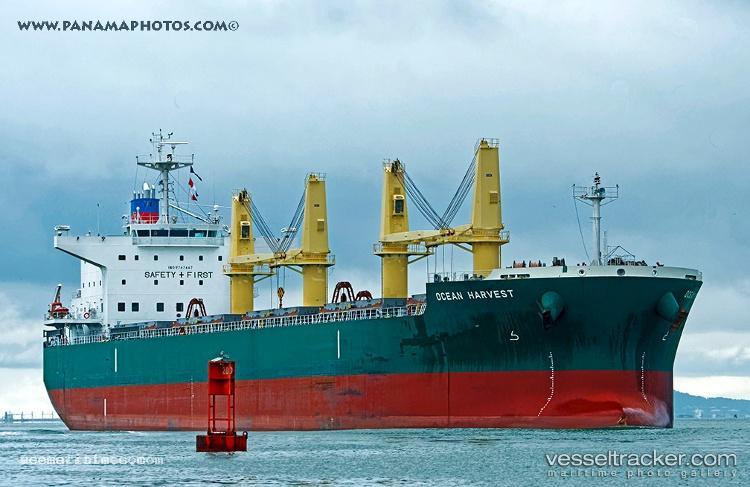 Ocean-Harvest - Bulk Carrier vessel registered in Panama