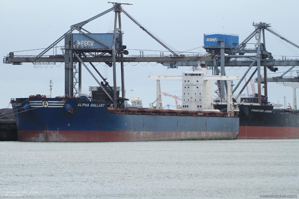Alpha-Gallant - Bulk Carrier