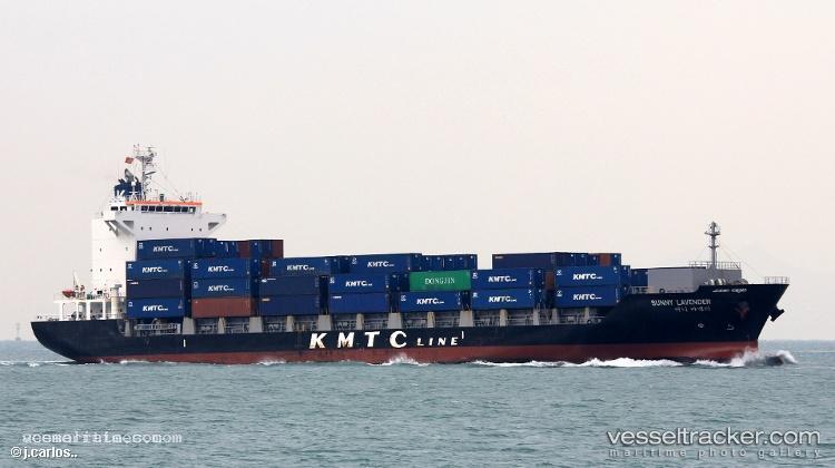 Sunny-Lavender - Container Ship vessel registered in Panama