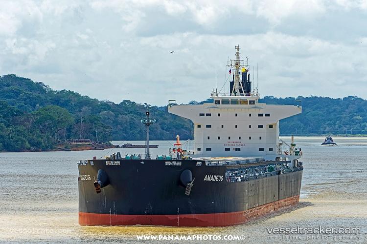 Amadeus - Bulk Carrier