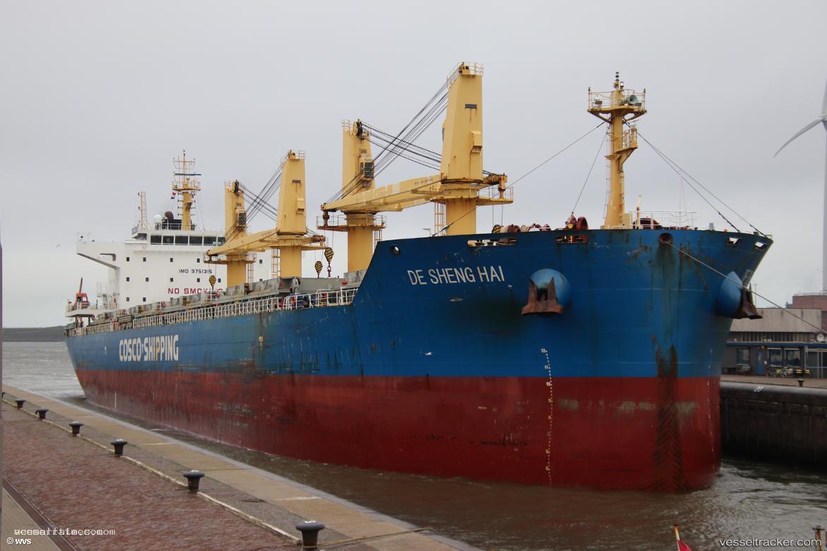 De-Sheng-Hai - Bulk Carrier vessel registered in Hong Kong