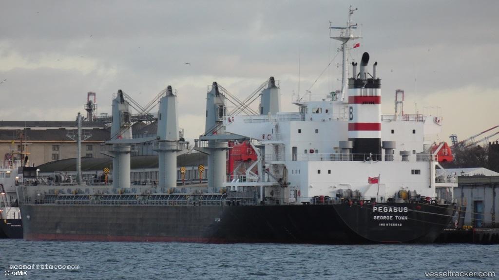 Pegasus - Bulk Carrier vessel registered in Cayman Islands