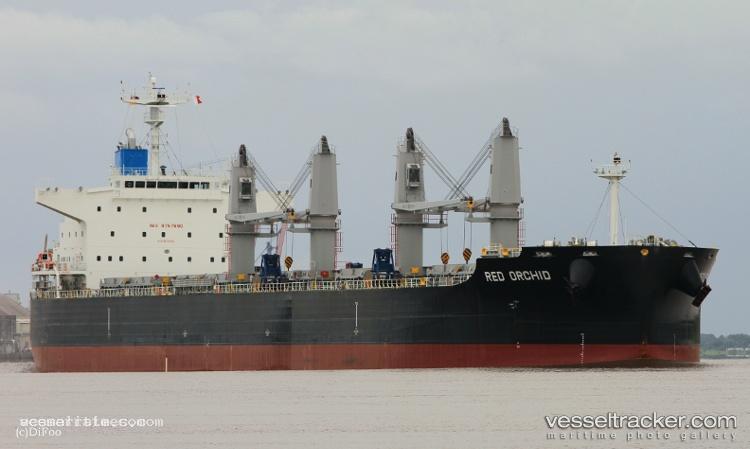 Red-Orchid - Bulk Carrier vessel registered in Panama