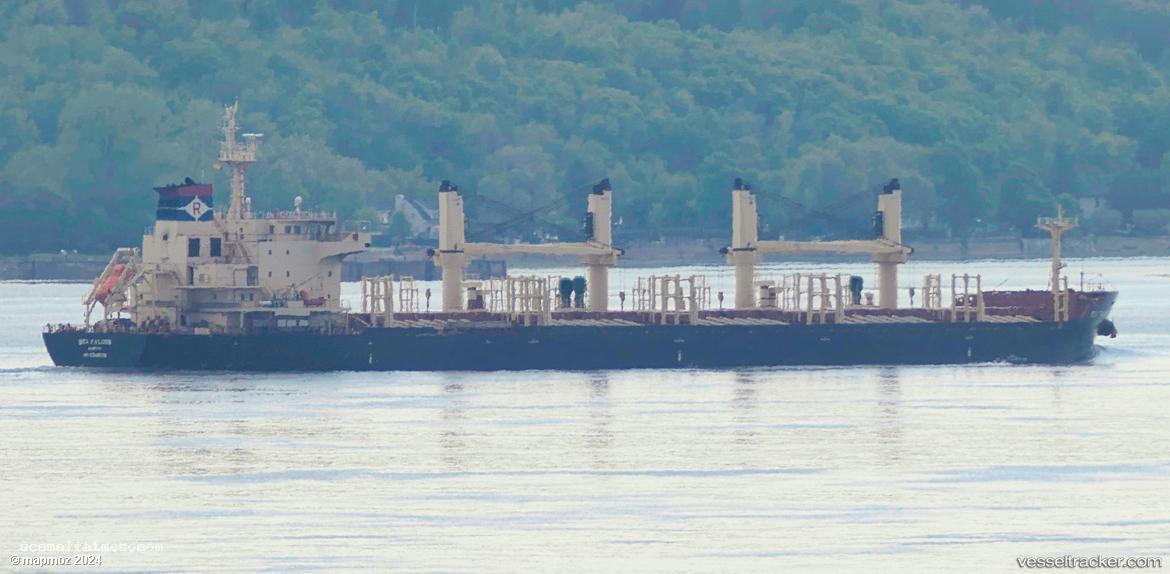 Sea-Falcon - Bulk Carrier vessel registered in Liberia