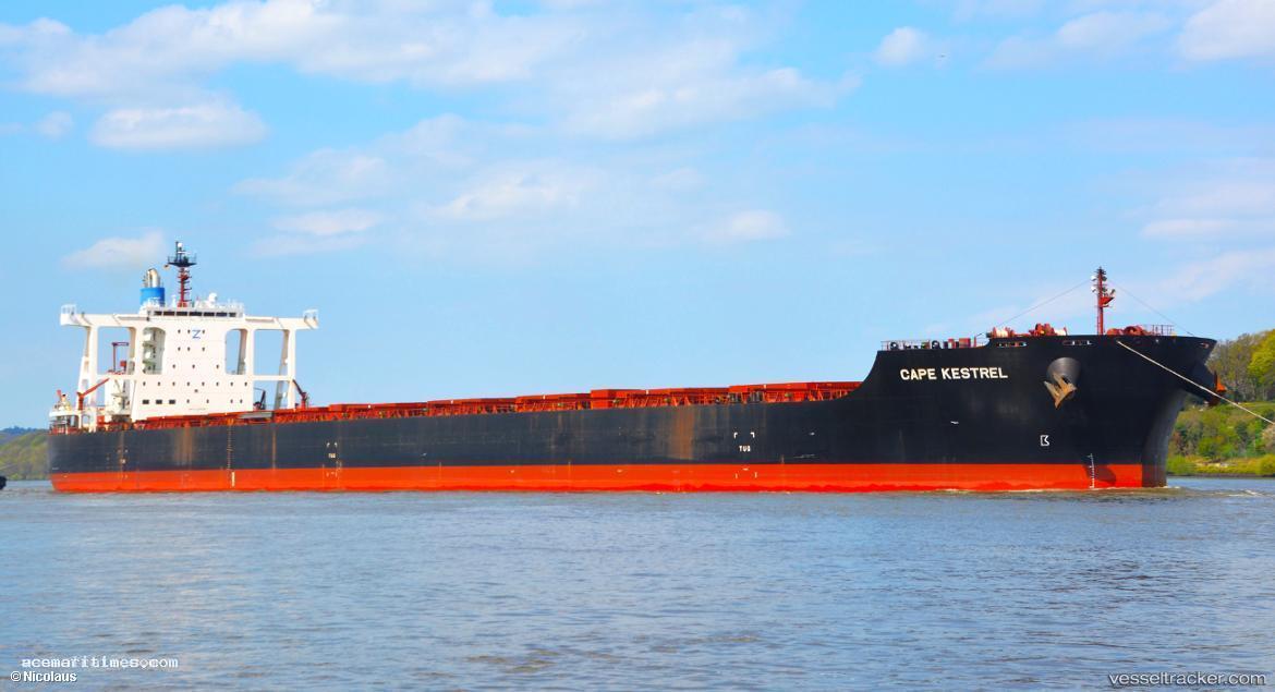 Cape-Kestrel - Bulk Carrier vessel registered in Liberia