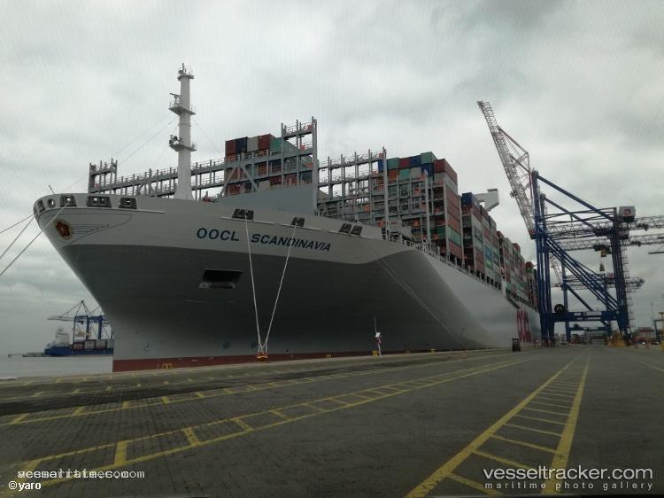 Oocl-Scandinavia - Container Ship vessel registered in Hong Kong