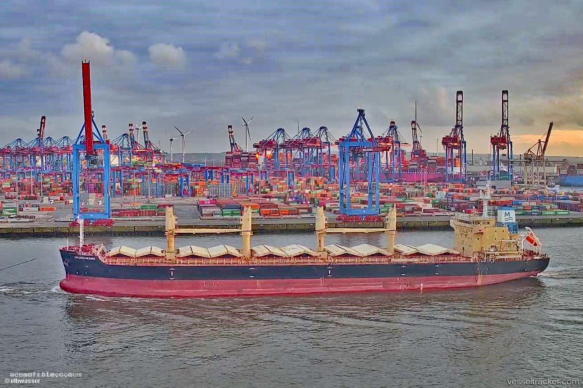 Golden-Grains - Bulk Carrier vessel registered in Liberia