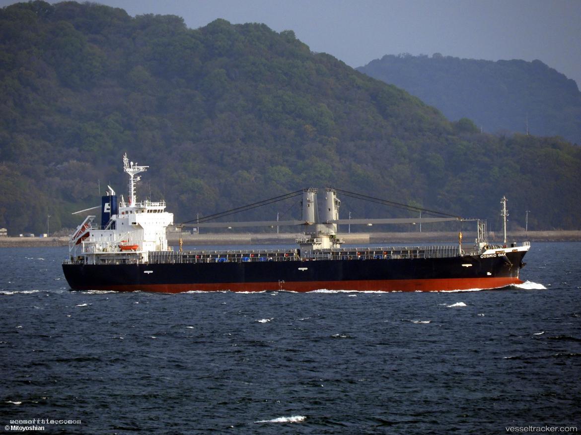 Cosmic-Oak - General Cargo Ship vessel registered in Panama