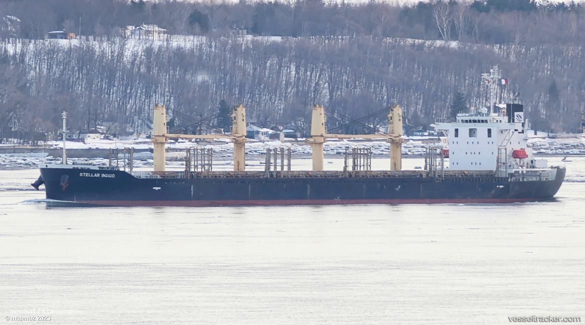 Stellar-Indigo - Bulk Carrier vessel registered in Liberia