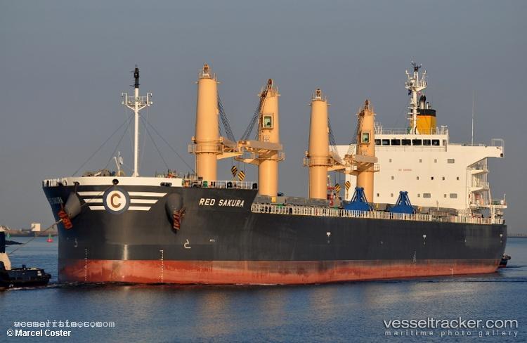 Red-Sakura - Bulk Carrier vessel registered in Liberia