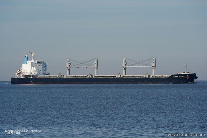 Pacific-Seagull - Bulk Carrier vessel registered in Panama