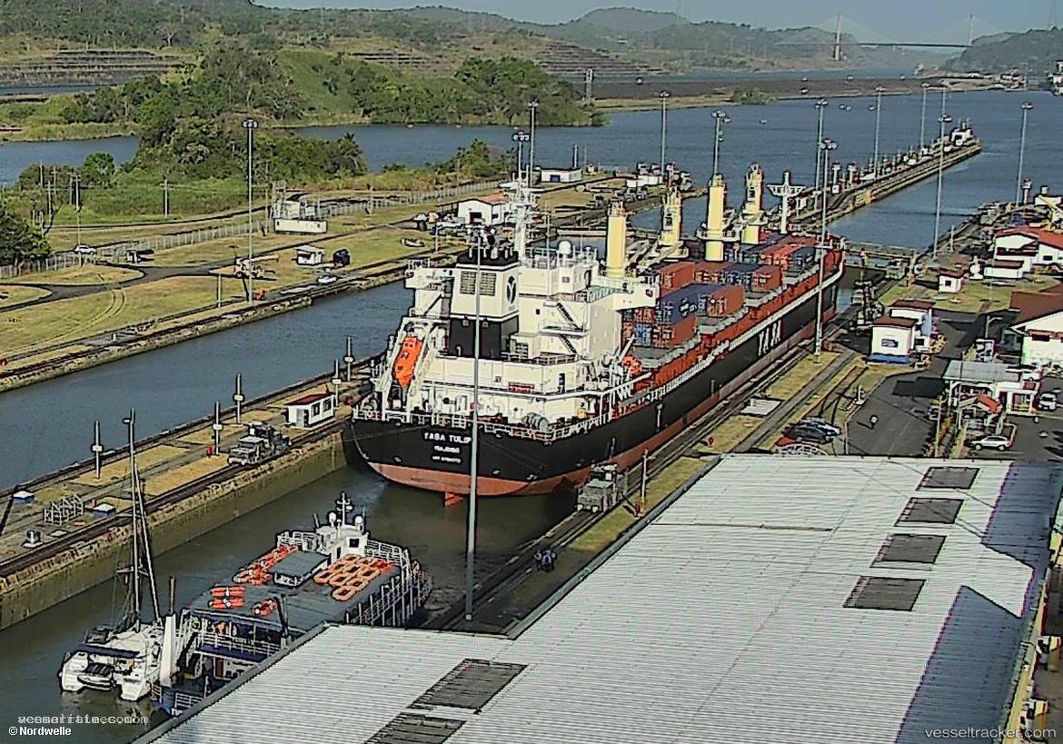 Yasa-Tulip - Bulk Carrier vessel registered in Marshall Islands