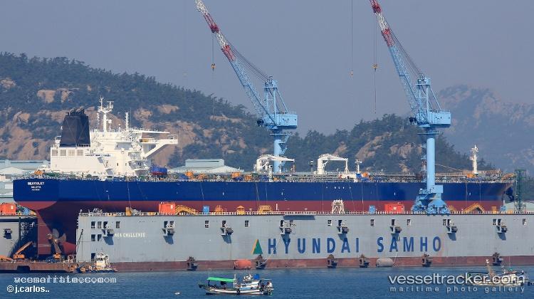 Seaviolet - Crude Oil Tanker vessel registered in Malta