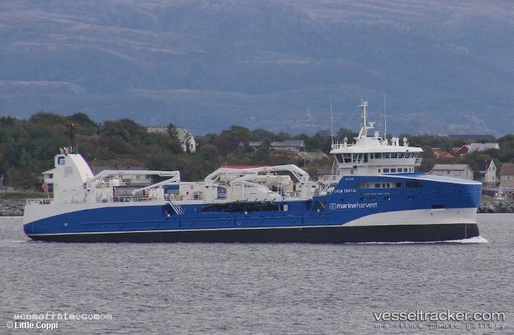 Gaso-Freyja - Fish Carrier vessel registered in Norway