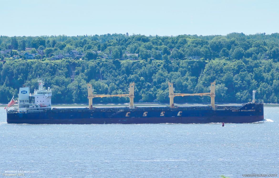 Great-Intelligence - Bulk Carrier vessel registered in Hong Kong
