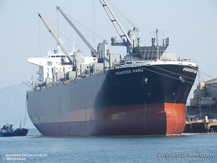 Princess-Haru - Wood Chips Carrier vessel registered in Marshall Islands