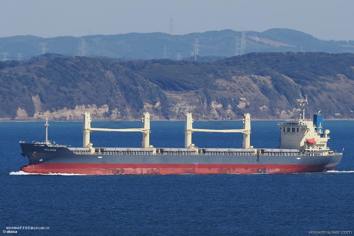 Salinas - Bulk Carrier vessel registered in Panama