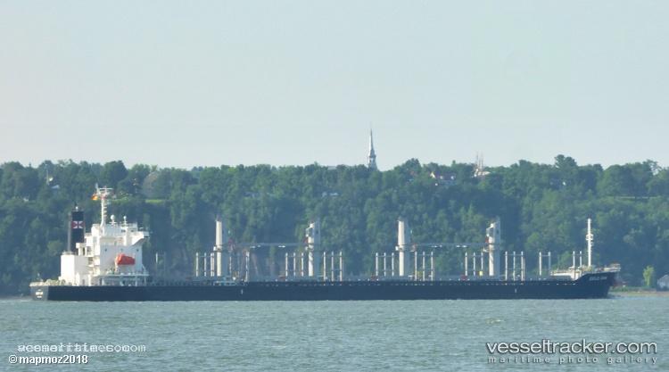 Gold-Oak - Bulk Carrier vessel registered in Panama