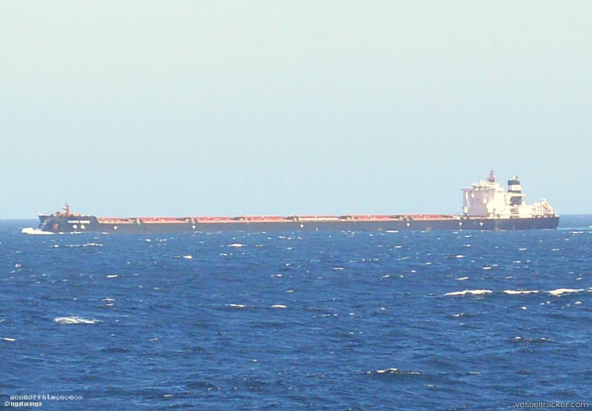 Pacific-Vision - Ore Carrier vessel registered in Hong Kong