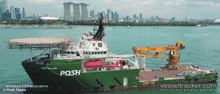 Posh-Mallard - Offshore Support Vessel vessel registered in Singapore