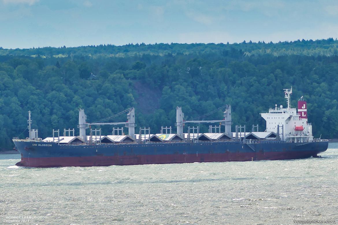 Uni-Blossom - Bulk Carrier vessel registered in Hong Kong