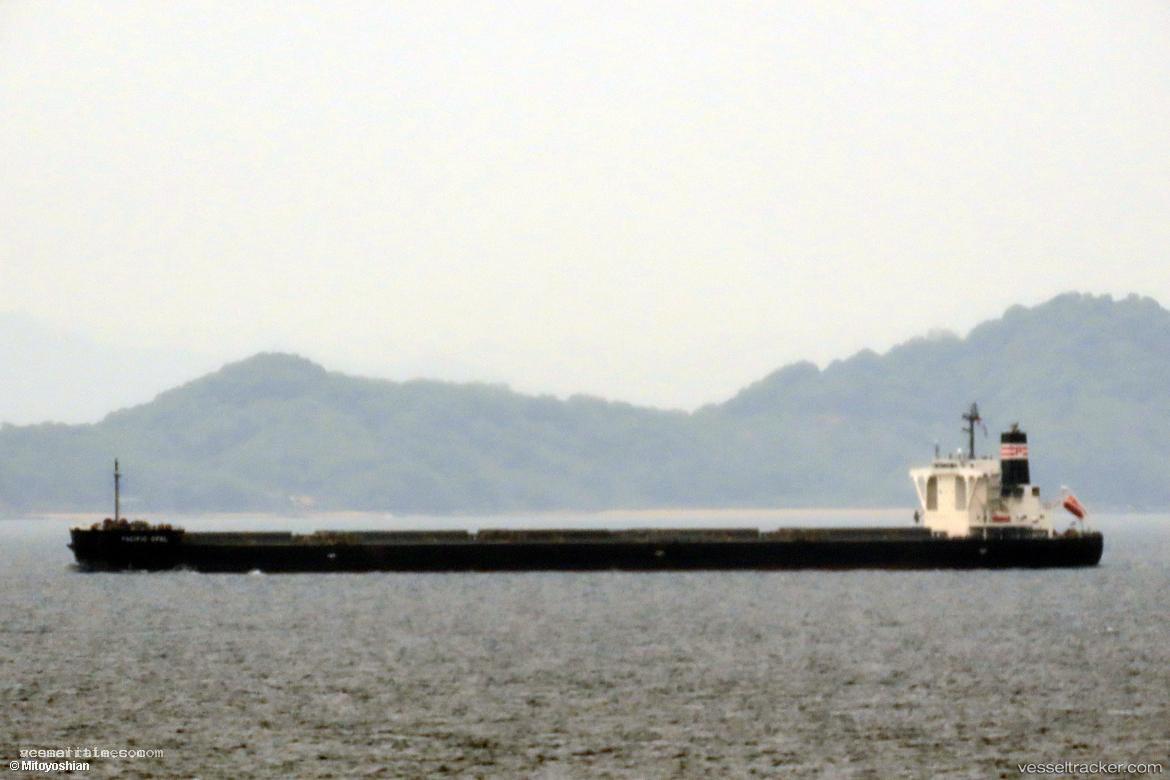 Pacific-Opal - Bulk Carrier vessel registered in Panama