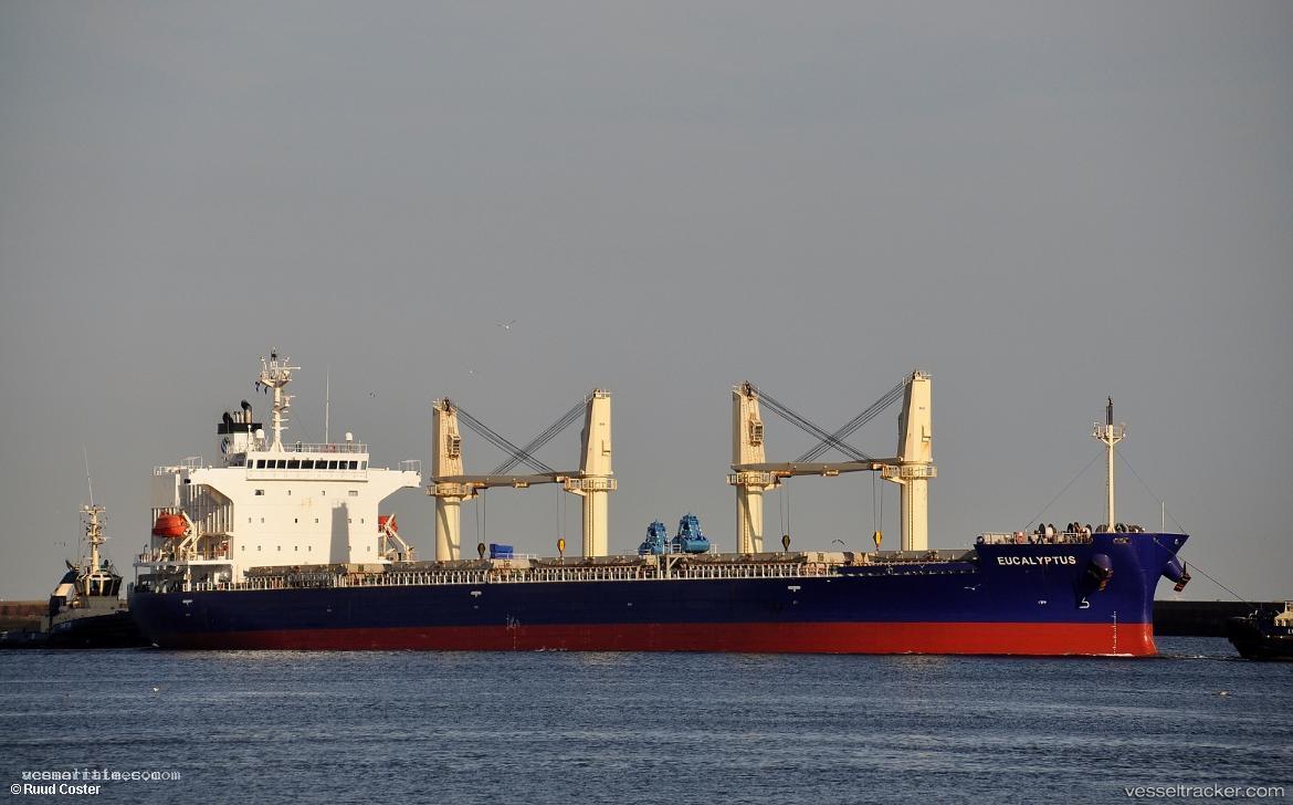 Eucalyptus - Bulk Carrier vessel registered in Marshall Islands