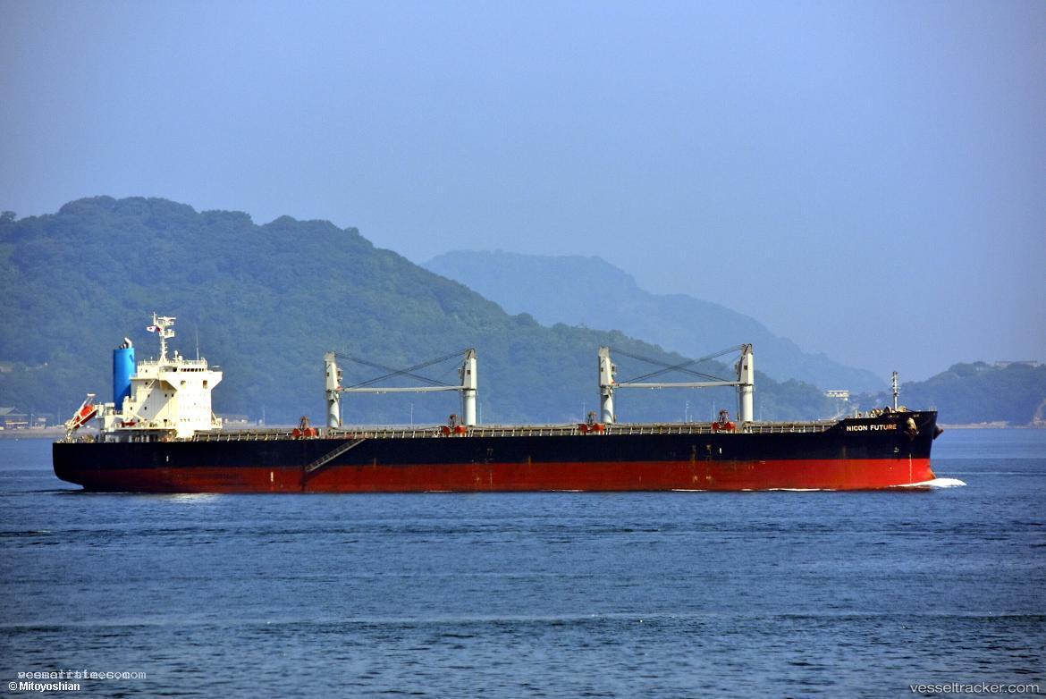 Turtle-Island - Bulk Carrier vessel registered in Hong Kong