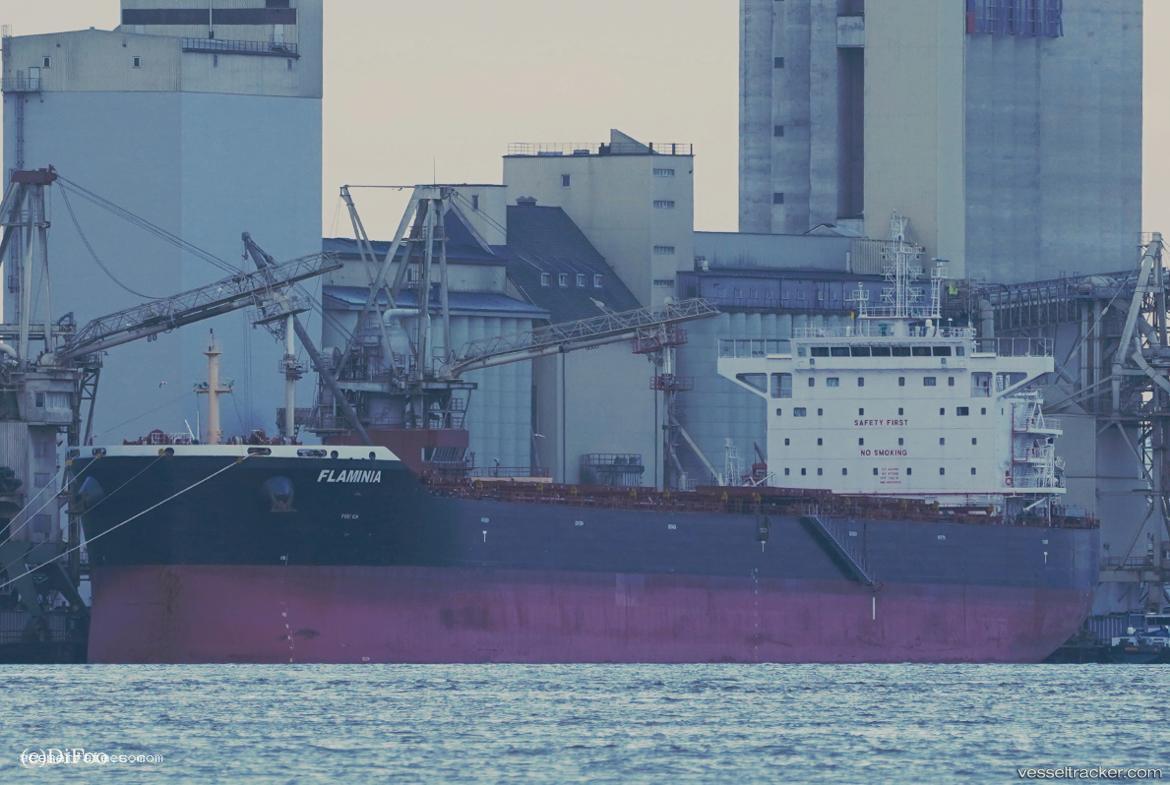 Flaminia - Bulk Carrier vessel registered in Liberia
