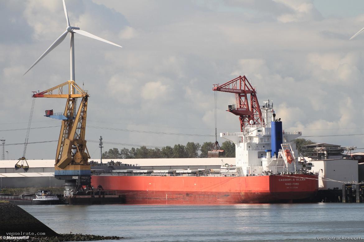 Cassiopeia-Ocean - Bulk Carrier vessel registered in Singapore