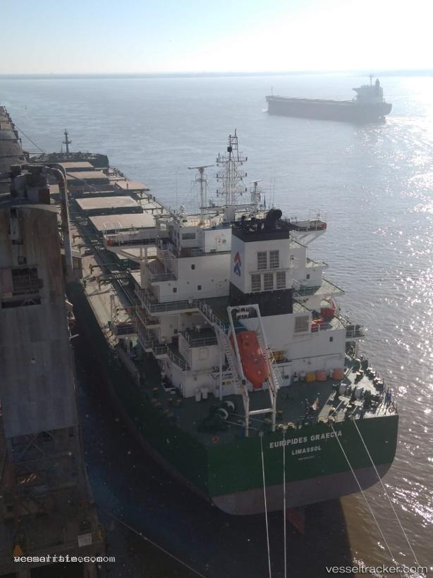 Euripides-Graecia - Bulk Carrier vessel registered in Cyprus