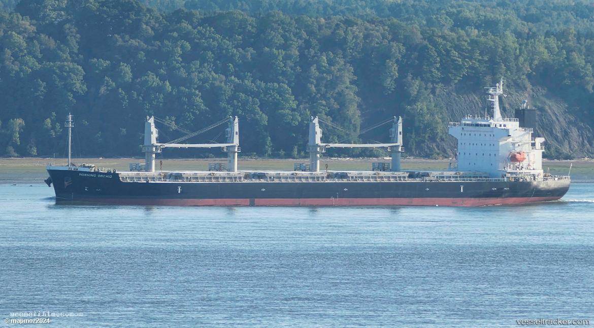 Morning-Orchid - Bulk Carrier vessel registered in Panama