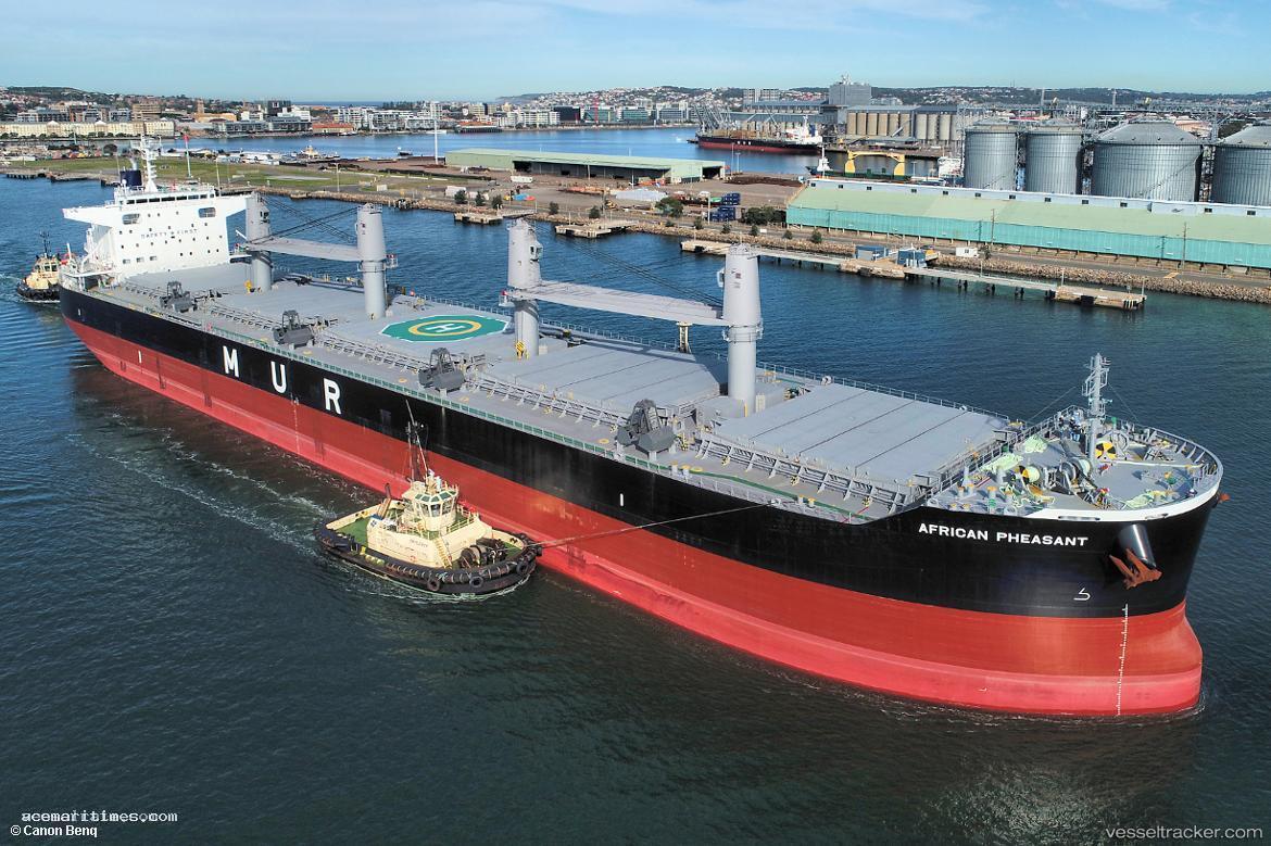 African-Pheasant - Bulk Carrier vessel registered in Panama