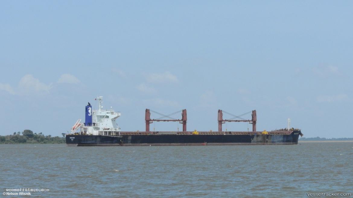Dulce-Diva - Bulk Carrier vessel registered in Marshall Islands