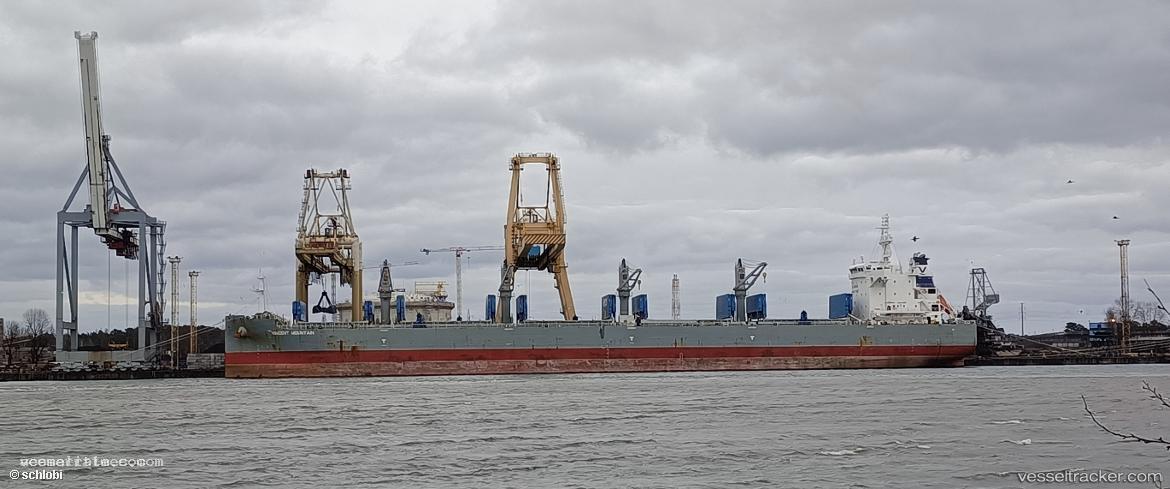 Elizabeth-M-Ii - Bulk Carrier vessel registered in Marshall Islands