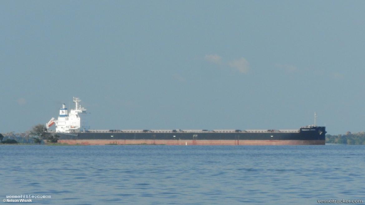 Thousand-Spring - Bulk Carrier vessel registered in Panama