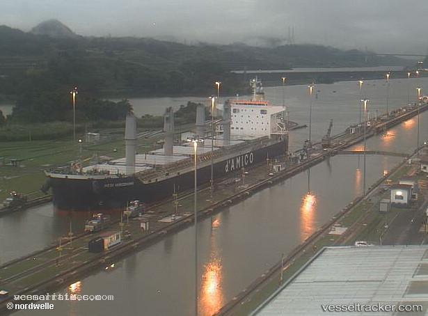 Medi-Hiroshima - Bulk Carrier vessel registered in Panama