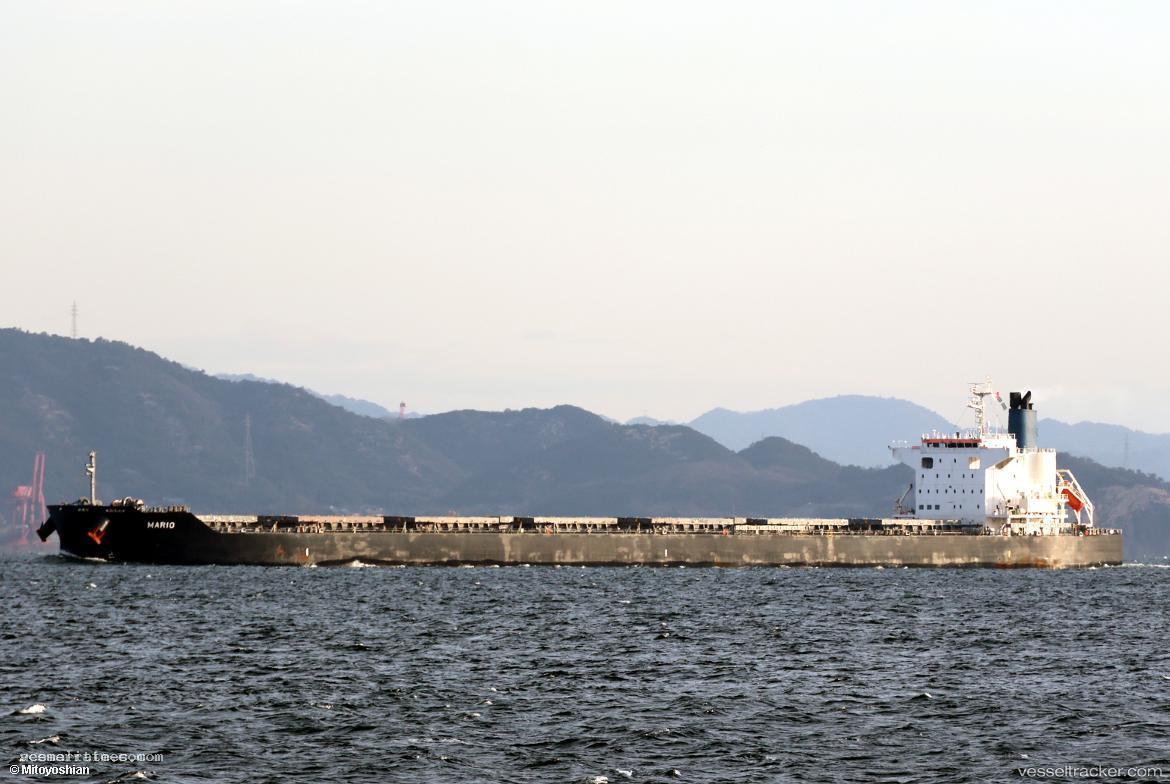 Mario - Bulk Carrier vessel registered in Panama