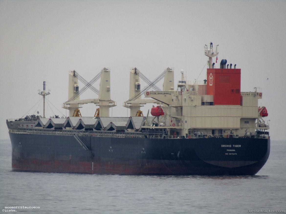 Orchid-Tiger - Bulk Carrier vessel registered in Panama