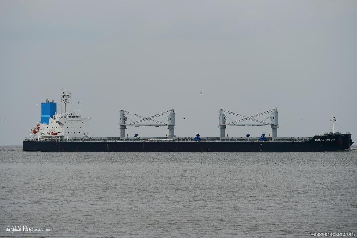 Royal-Orion - Bulk Carrier vessel registered in Panama