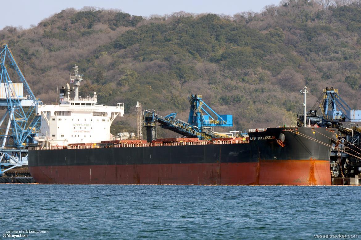 Lady-Bellamelia - Bulk Carrier vessel registered in Singapore