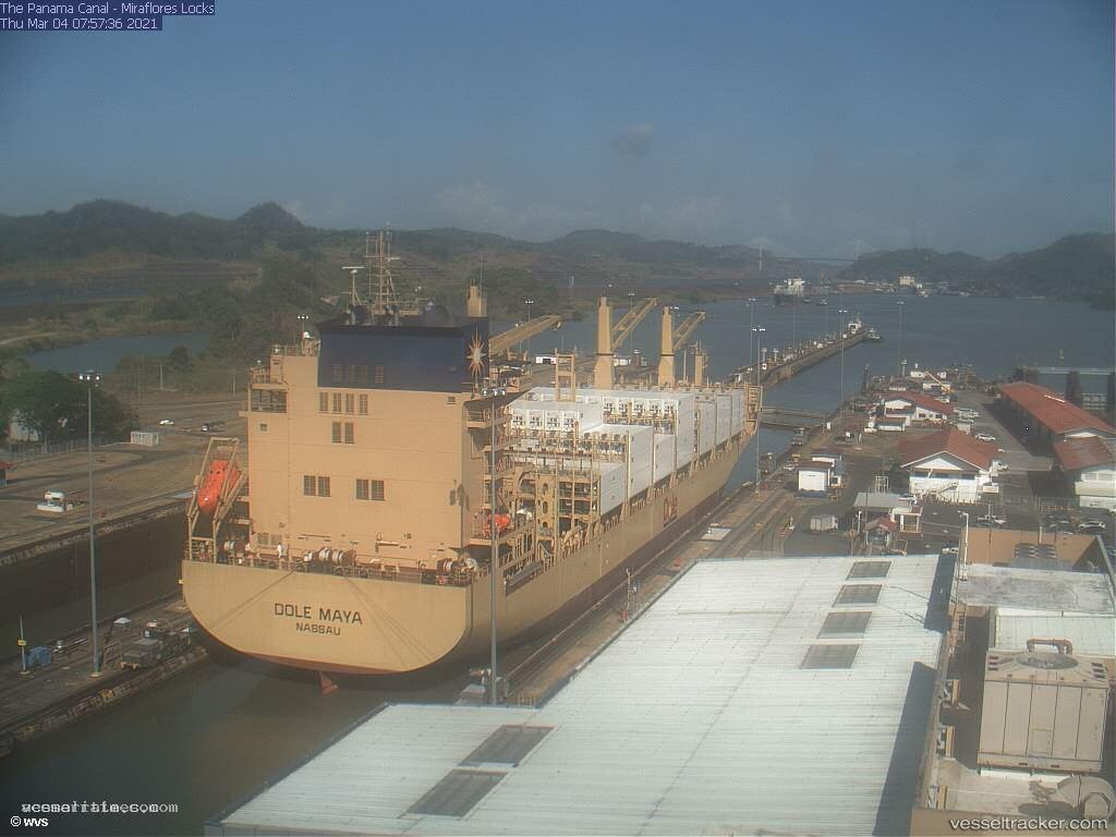 Dole-Maya - Container Ship vessel registered in Bahamas