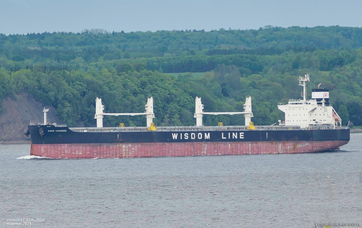 Amis-Unicorn - Bulk Carrier