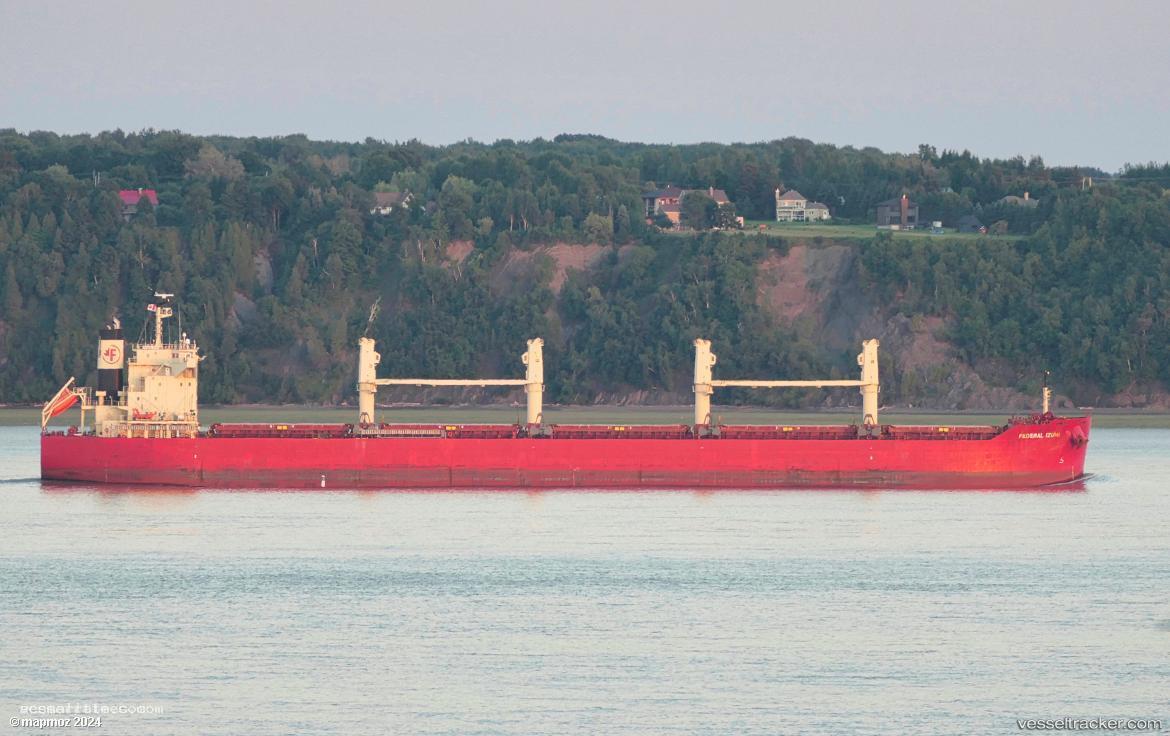 Federal-Izumi - Bulk Carrier vessel registered in Panama