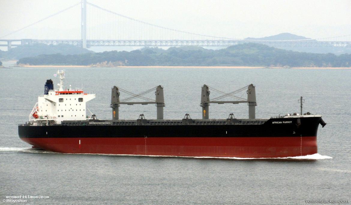 African-Parrot - Bulk Carrier vessel registered in Panama