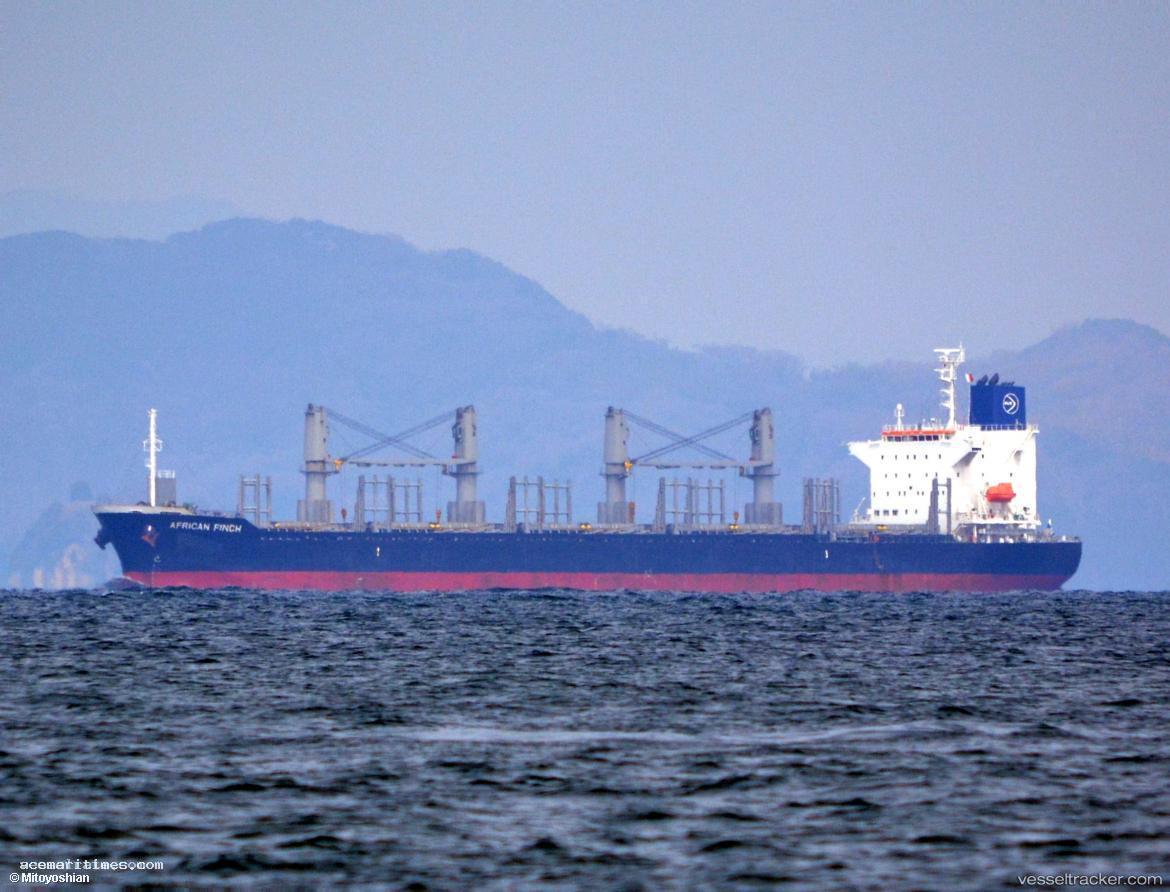 African-Finch - Bulk Carrier