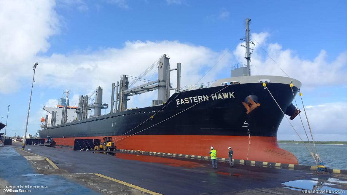 Eastern-Hawk - Bulk Carrier vessel registered in Singapore