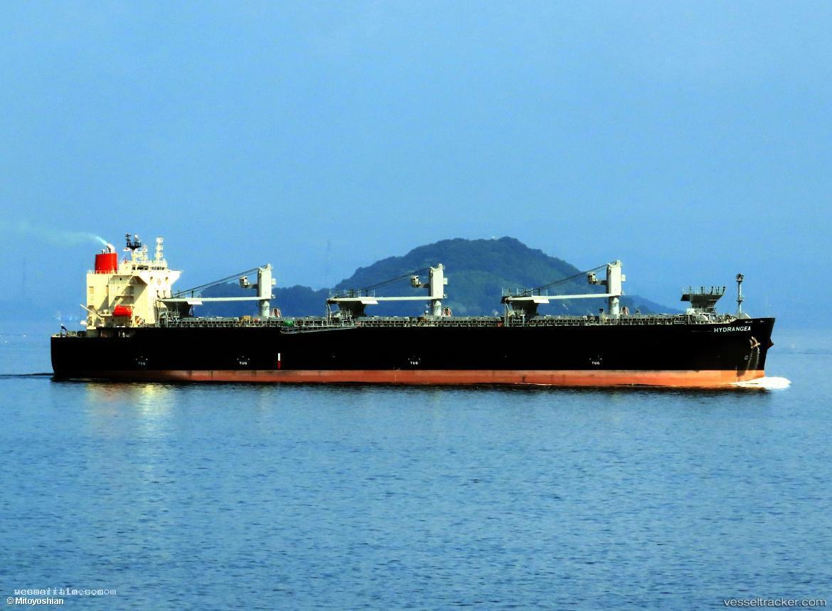 Hydrangea - Wood Chips Carrier vessel registered in Panama